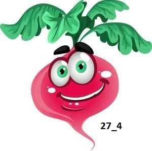 Картинка-редиски.webp