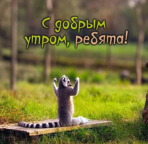 kartinka-s-dobrym-outrom-rebyata-prikol.webp