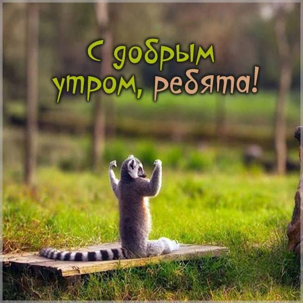 kartinka-s-dobrym-utrom-rebyata-prikol.webp