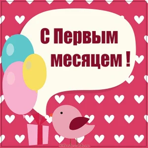 kartinka-s-pervym-mesyatsem-devochke.webp