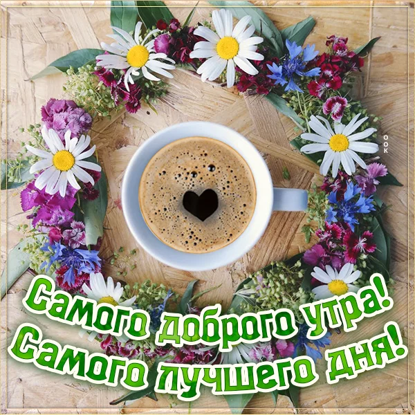 kartinka-samogo-dobrogo-utra-samogo-luchshego-dnya-5353.webp