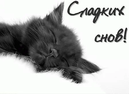 kartinka-sladkih-snov (1).webp