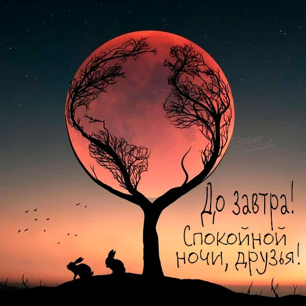 kartinka-spokojnoj-nochi-drouzya-do-zavtra.webp
