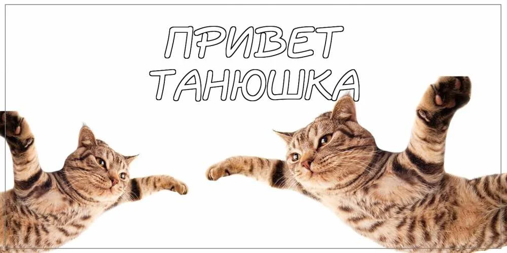 картинка-Танюшка-Привет-196.webp
