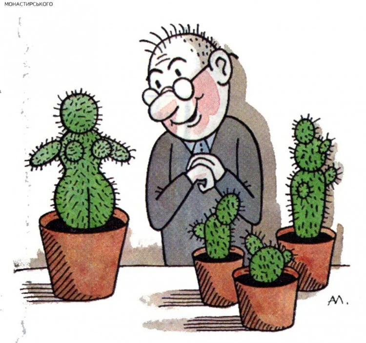 Картинка_про_кактус.webp