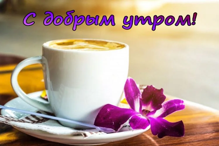 kartinki-dobroe-utro-1.webp