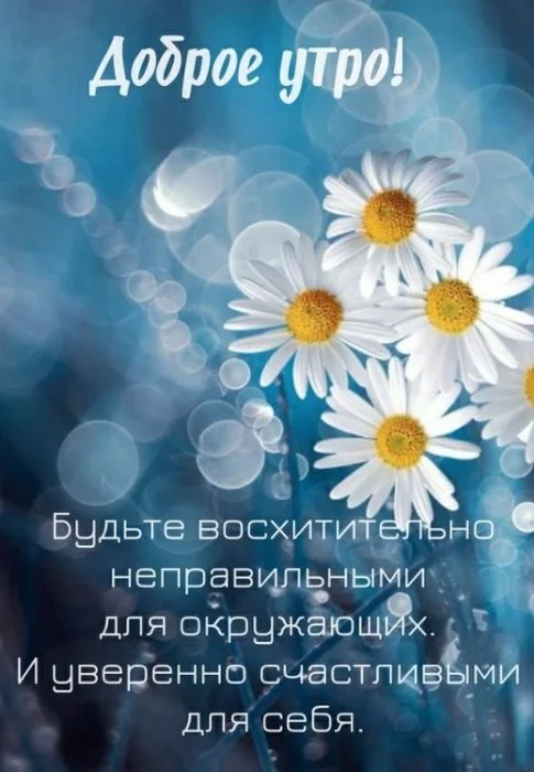 kartinki-dobroe-utro-9.webp
