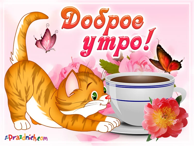 kartinki-dobroe-utro-otkrytki.webp