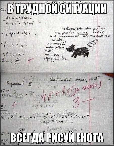 картинки-енот-алгебра-966307.jpeg