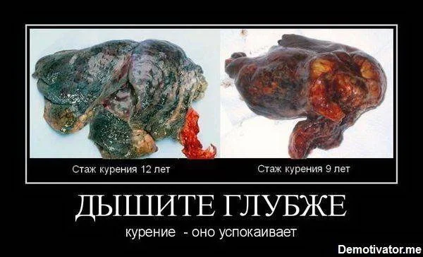 Kartinki-i-demotivatory-protiv-kureniya-21.webp