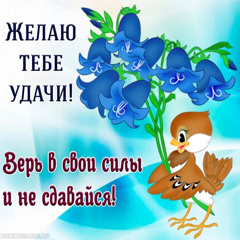 kartinki-i-otkrytki-otkrytka-uspehov-i-udachi-tebe-10.webp