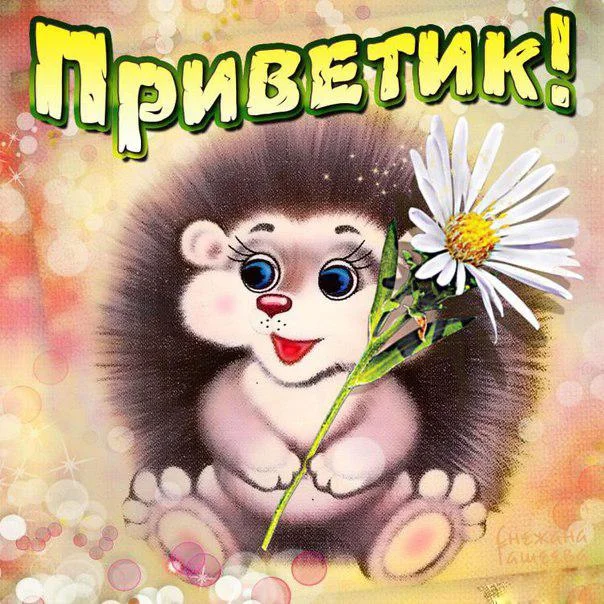 kartinki-i-otkrytki-privet-privetik-zdraste-5-20.webp