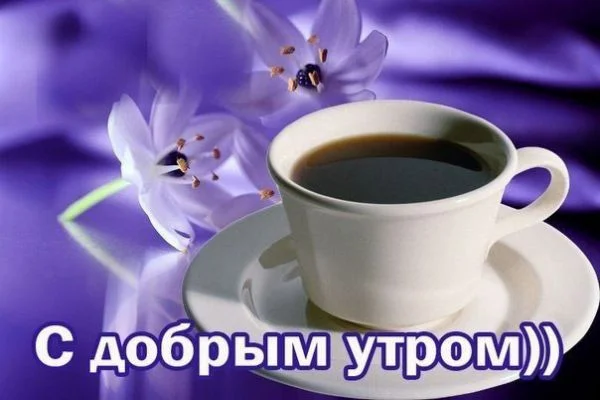 kartinki-na-temu-dobroe-utro-otkrytki-s-dobrym-utrom-25.jpg.cf.webp