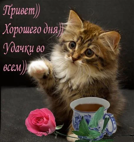 kartinki-s-dobrym-utrom-i-horoshego-dnya-56.webp