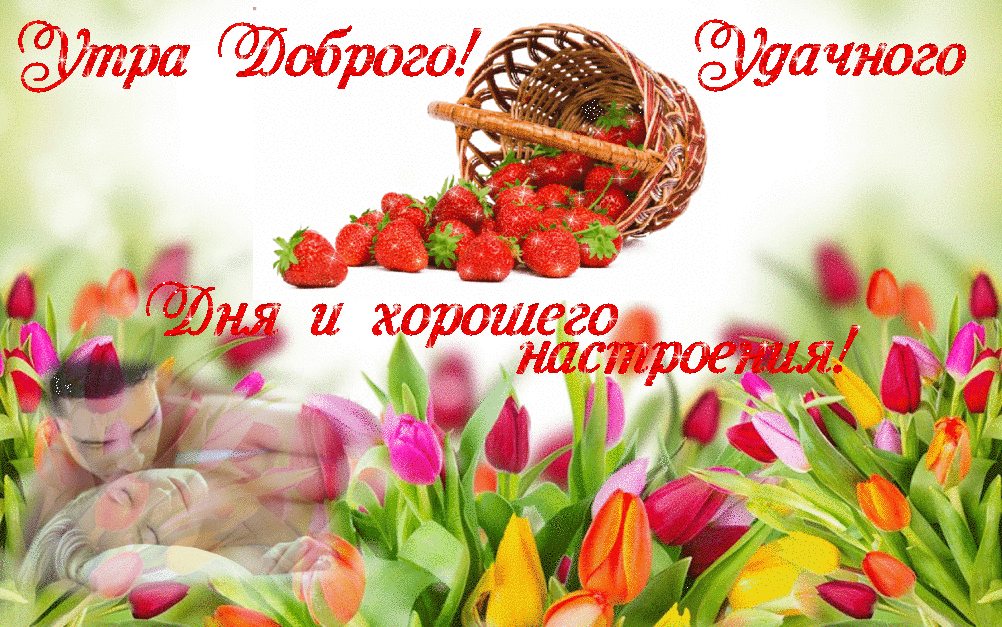kartinki-s-dobrym-utrom-i-horoshego-dnya-62.gif