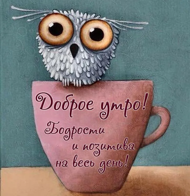 kartinki-s-dobrym-utrom-i-pozitivom-4.webp