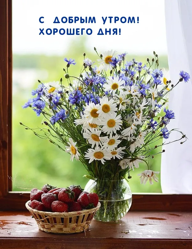 kartinki-s-dobrym-utrom-polevye-tsvety-12.webp