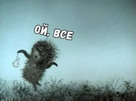 Картинки-смешные-ежик-в-тумане-014.webp