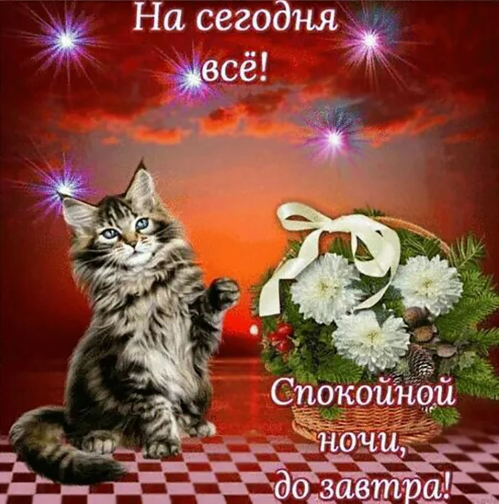 kartinki-spokoynoy-nochi-60.webp
