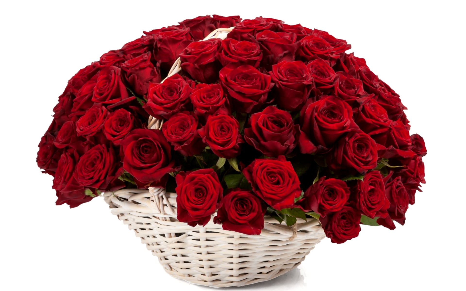 kartinki24_ru_roses_165.jpg