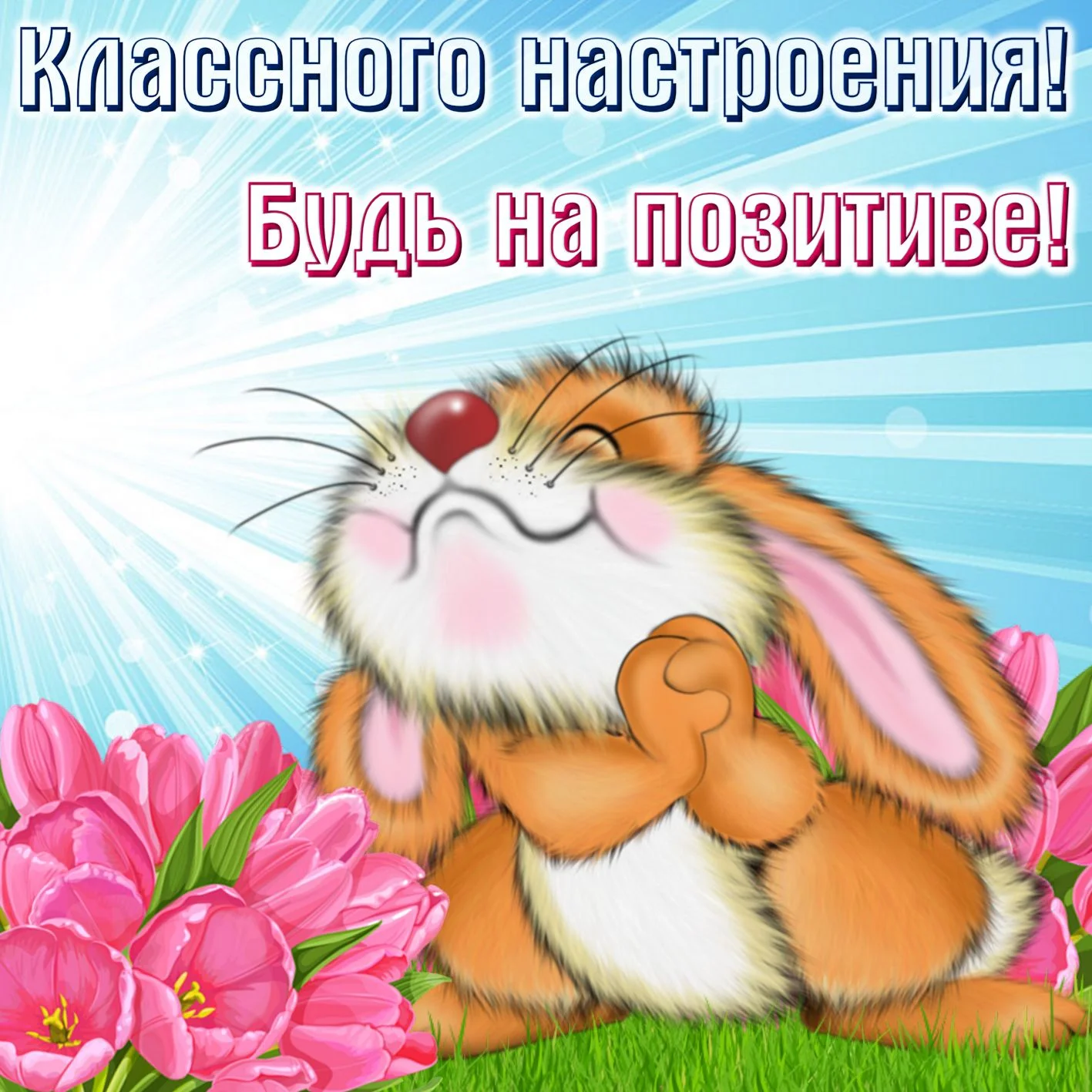 kartinki_horoshego_dnya_36.webp