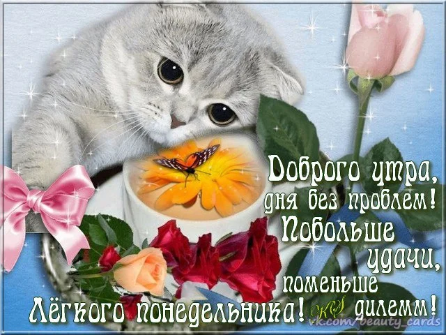 Kartinki_S_dobrym_utrom_v_ponedelnik_7_27163636.webp