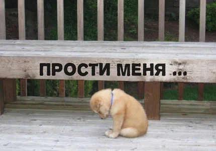 kartinkiprostimenya0005.webp