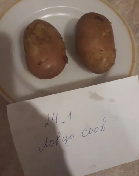 картошка в мундире3.webp