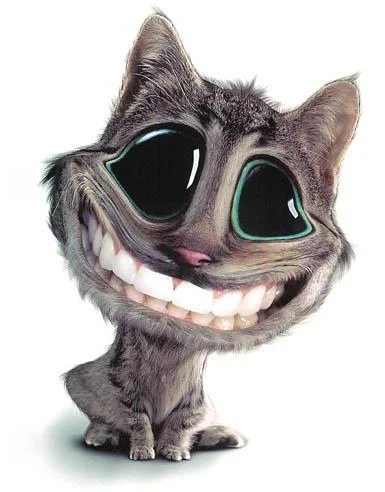 kat-smile.webp