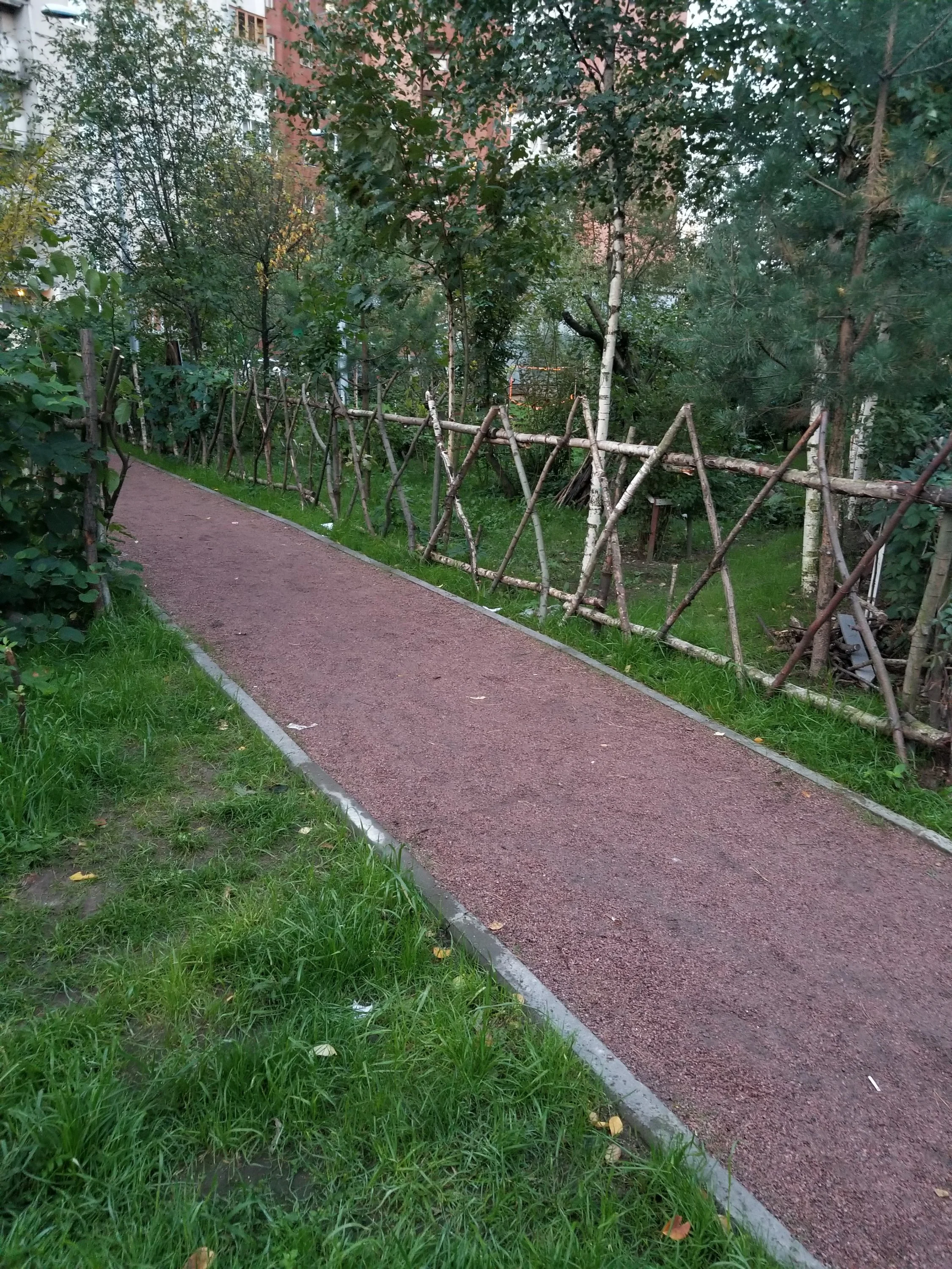 катенка конкурс.webp