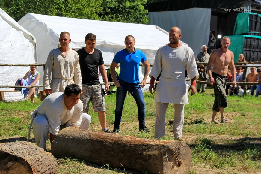 Кауп конкурс.webp