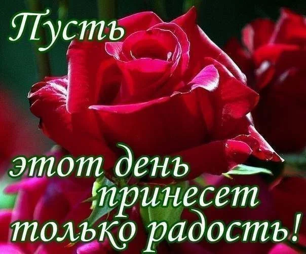 KedliRKaMZE.webp