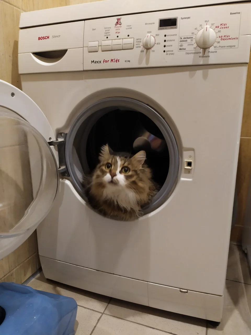 кеша в стиралке.webp