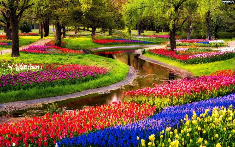 Keukenhof.original.6040_900x563.webp
