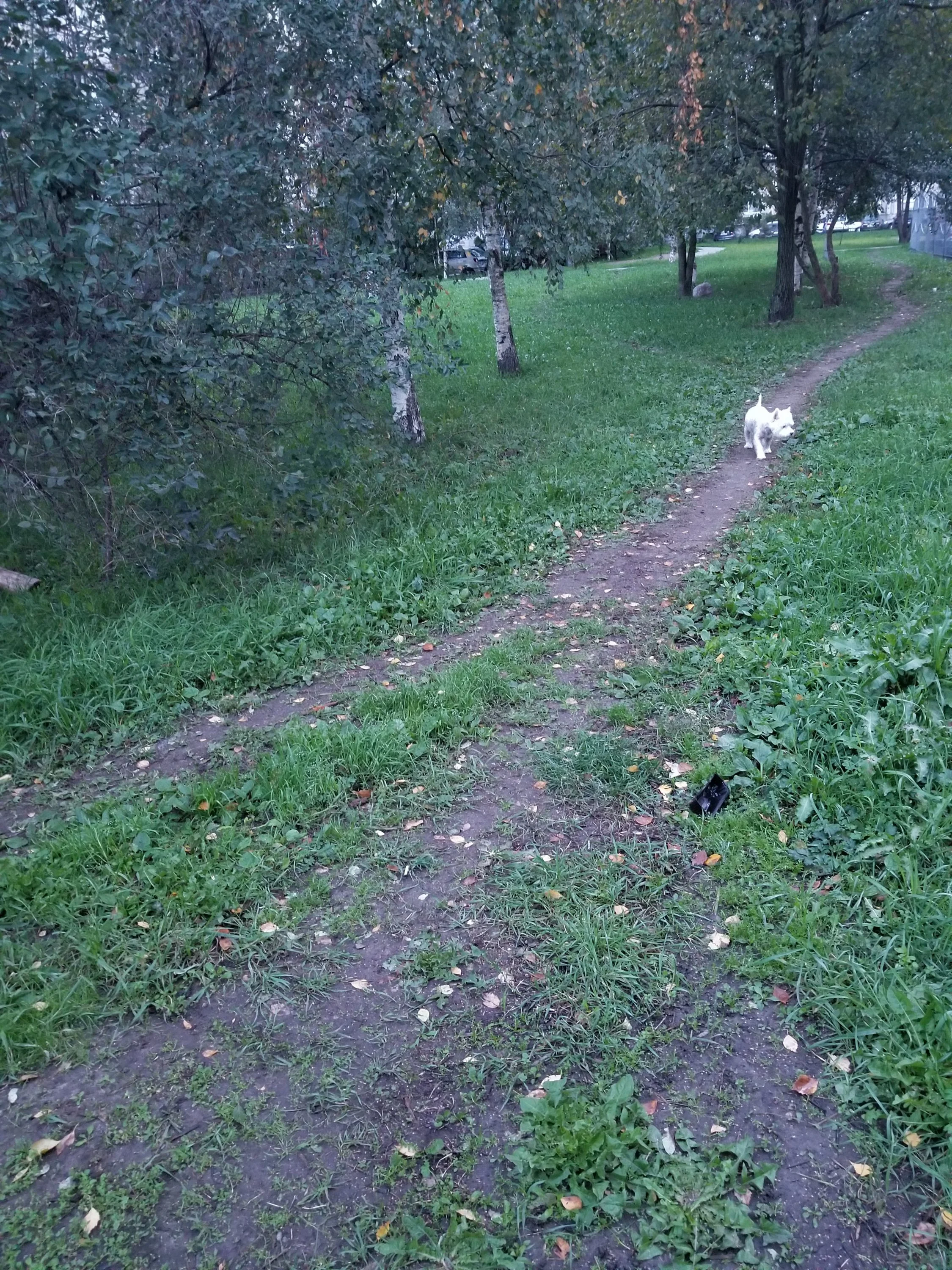 ккт конкурс 2.webp