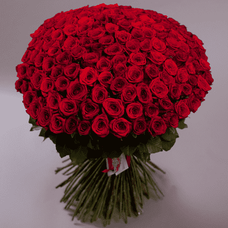 klass-red-rose-155.png