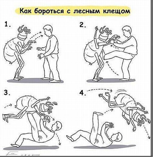 Клещ.jpg