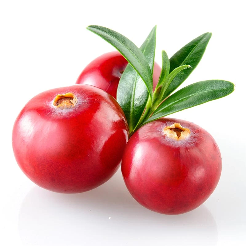 kliukva_01.webp