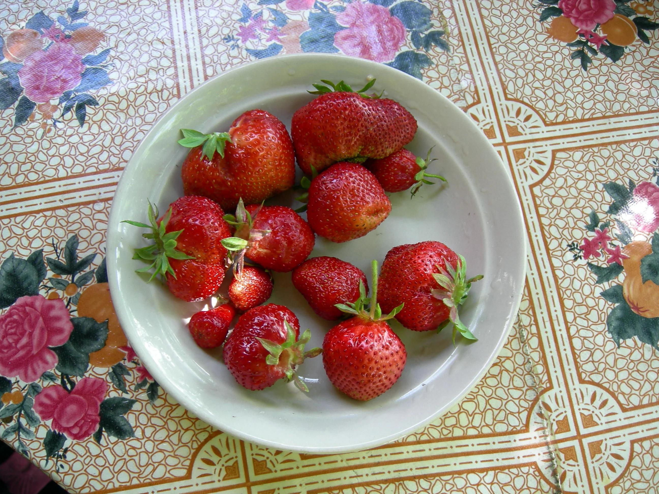 КЛУБНИКА С ДАЧИ.webp