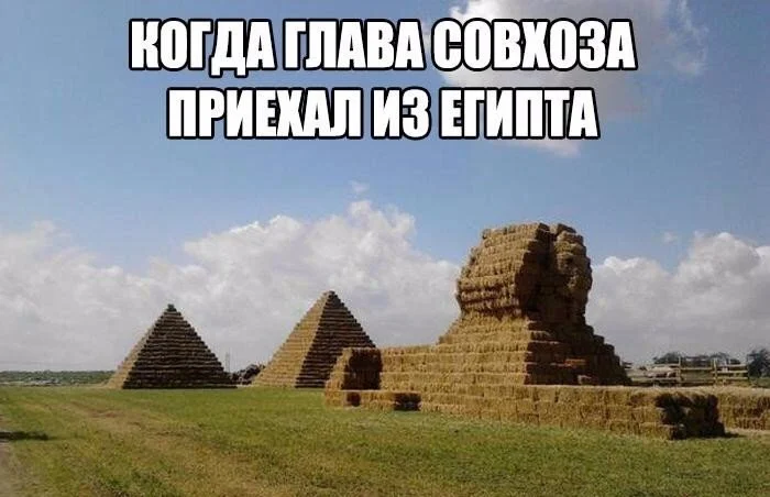kogda-glava-sovkhoza-priekhal-iz-egipta-open.webp