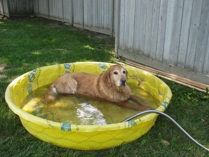 когда жарко.webp