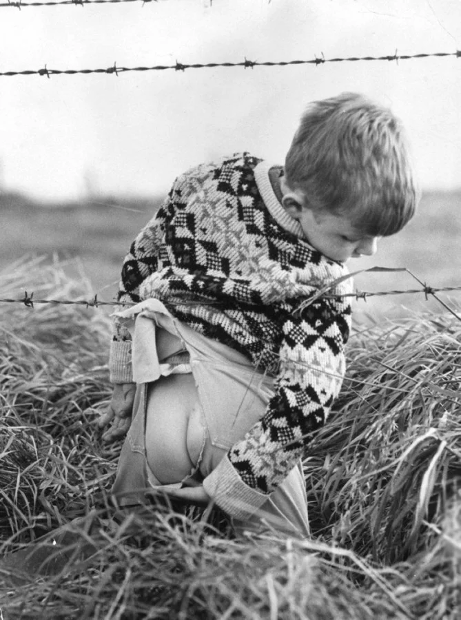 Колючая проволока.webp