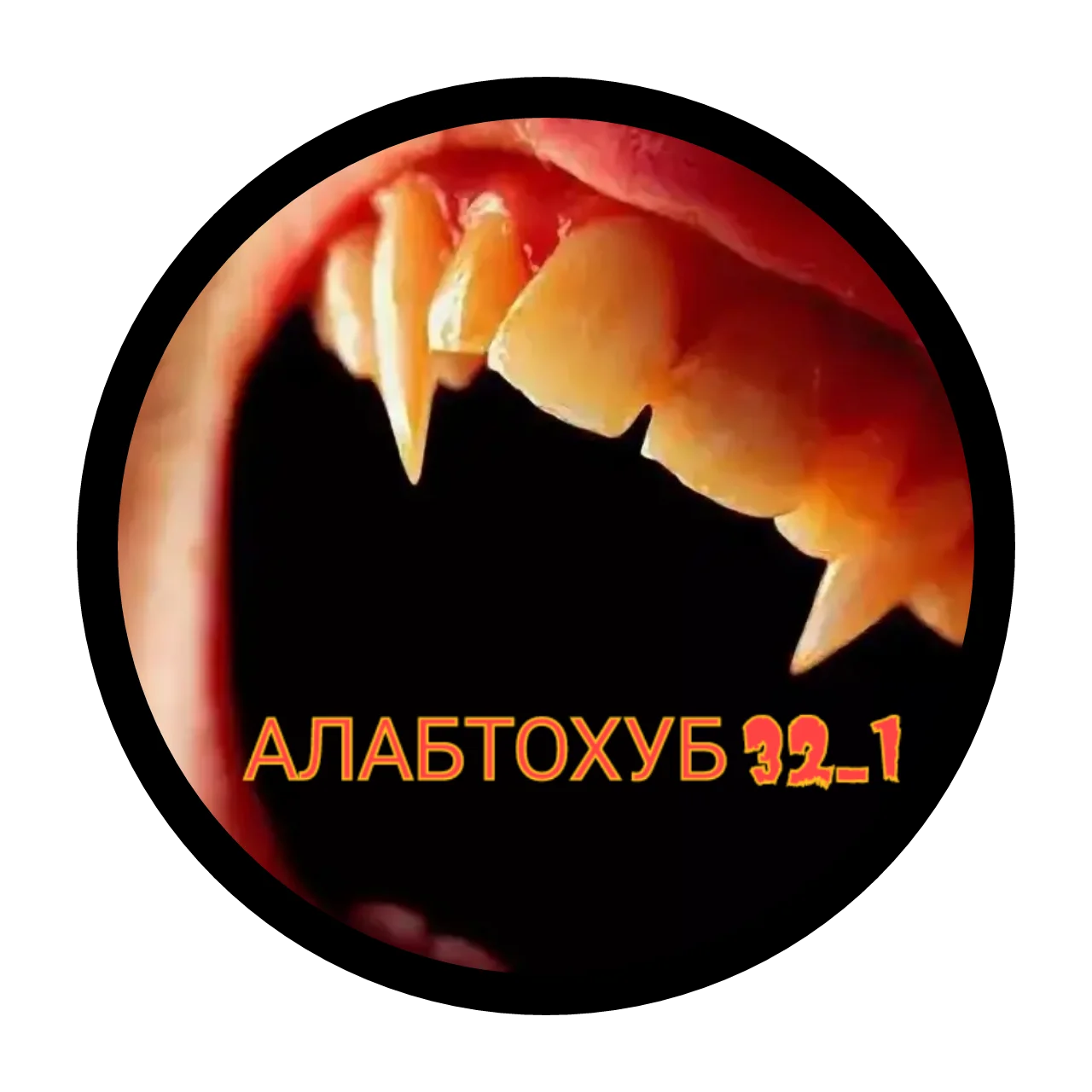 Коллаж Фоторедактор_9TxqhZ.webp