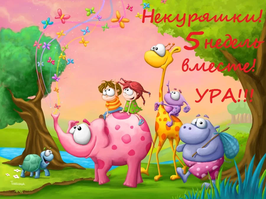 команда 5.webp