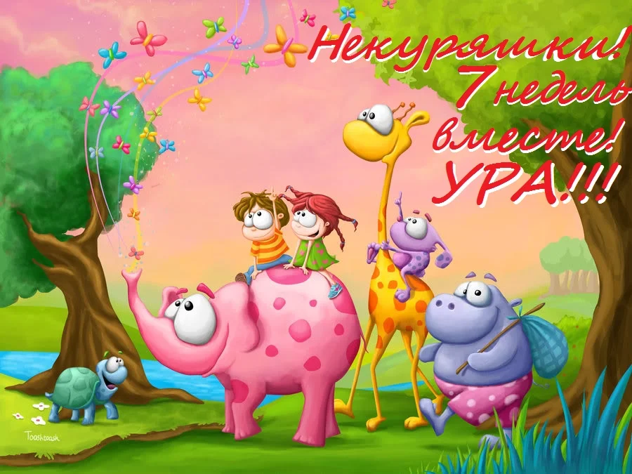 команда 7.webp