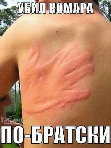 комар.webp