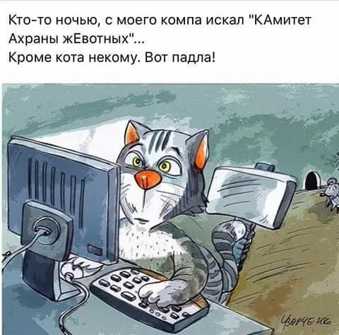 комитет.webp