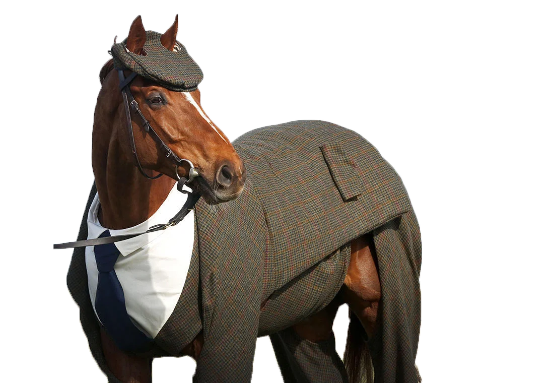 конь в польто.webp