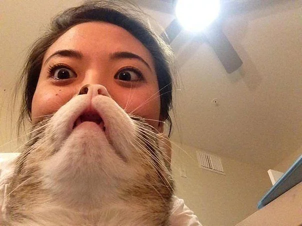 Кончита отдыхает.webp