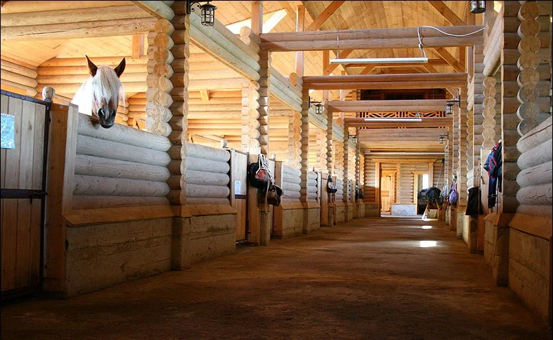 конюшня-из-бревна.webp